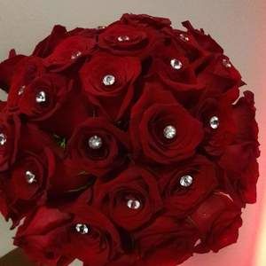 Meet your Posher, Annabelle